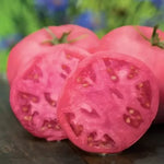 Big Pink F1 - roșie beefsteak - 15 buc. semințe