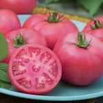 Big Pink F1 - roșie beefsteak - 15 buc. semințe