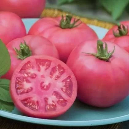 Big Pink F1 - roșie beefsteak - 15 buc. semințe