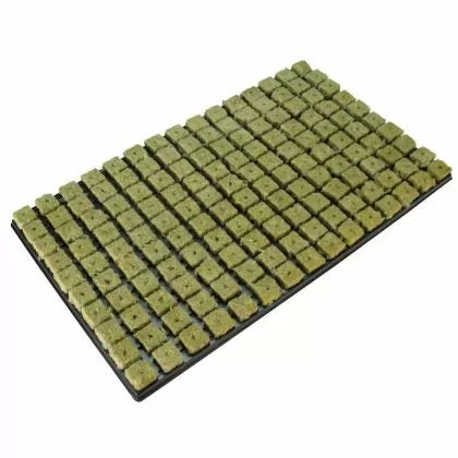 Grodan 150 buc. dopuri / cuburi din vată minerală pentru înrădăcinare și răsaduri (+ tavă)