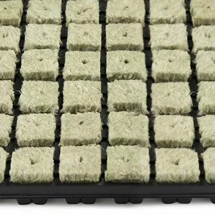 Grodan 150 buc. dopuri / cuburi din vată minerală pentru înrădăcinare și răsaduri (+ tavă)