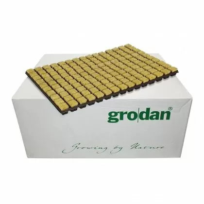 Grodan 150 buc. dopuri / cuburi din vată minerală pentru înrădăcinare și răsaduri (+ tavă)