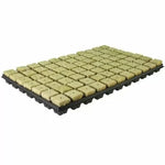 Grodan 150 buc. dopuri / cuburi din vată minerală pentru înrădăcinare și răsaduri (+ tavă)
