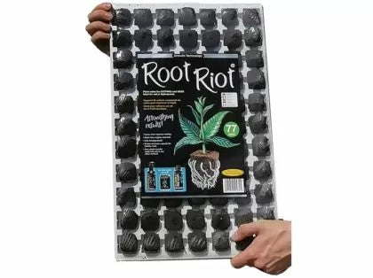 GT Root Riot® 77 Tray with 77 Organic Starter Cubes for Seeds and Cuttings