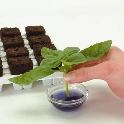 GT Root Riot® 77 Tray with 77 Organic Starter Cubes for Seeds and Cuttings