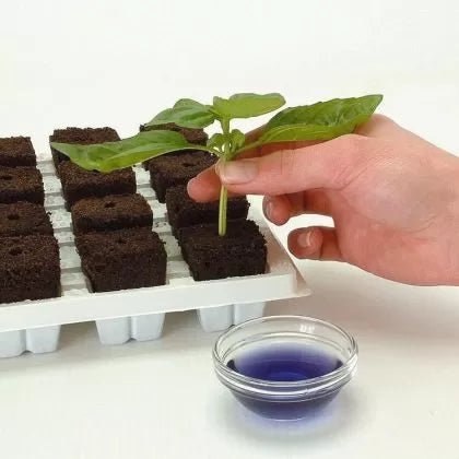 GT Root Riot® 77 Tray with 77 Organic Starter Cubes for Seeds and Cuttings