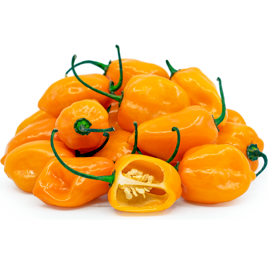 Ardei Habanero Orange – 15 semințe