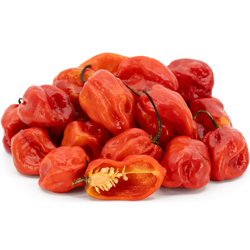 Habanero kırmızı (Habanero Red) - 25 adet tohum