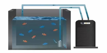 Hailea HC-2200BH Chiller 1500–4000 l/h – răcitor pentru rezervoare/acvarii