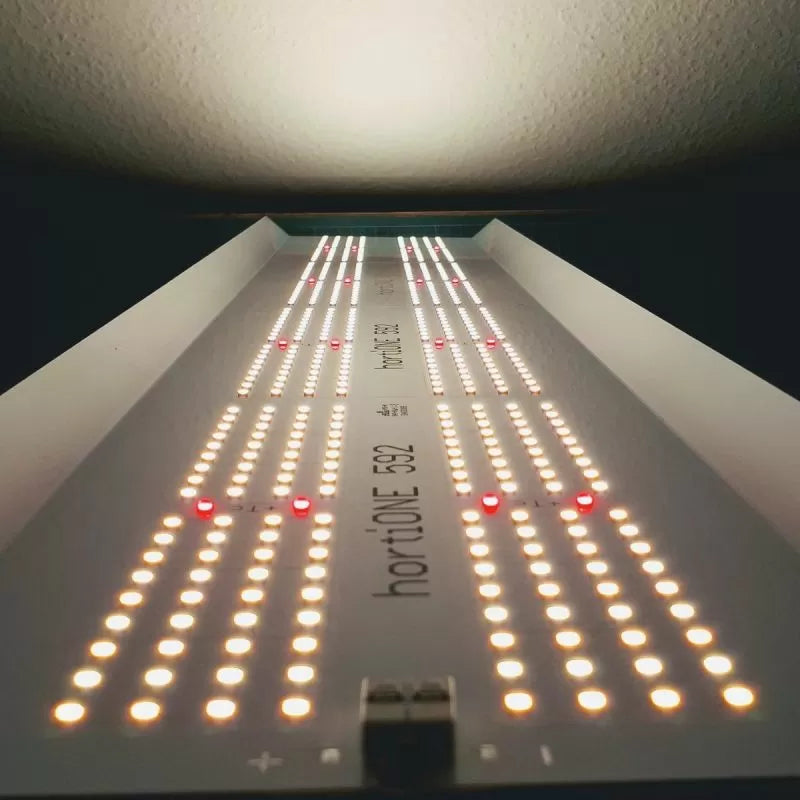 hortiOne 592 V2 LED