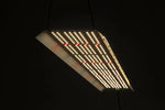 hortiOne 592 V2 LED