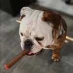 Puff Palz Doggie Doob Brown Natural Rubber Dog Toy