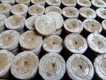 Jiffy-7 30 mm – pelete / dopuri / discuri din turbă presată – 2000 buc. (cutie)