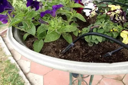 HydroDrip 120 Automatic Irrigation Kit – for up to 120 Minutes of Watering