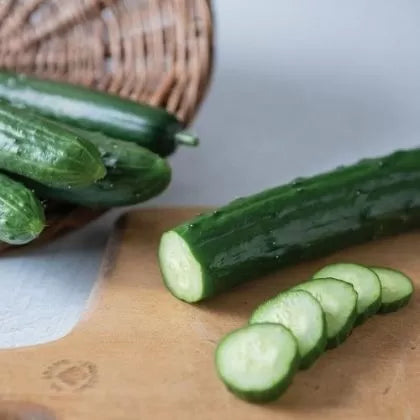 El Toro F1 Cucumber - 10 Seeds
