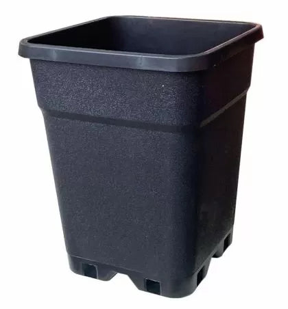 TR square pot 11l