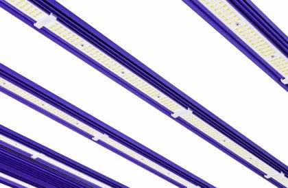 Lumatek LED Zeus 1000W PRO EVO 3.1 - Многолентова LED лампа за растеж и цъфтеж