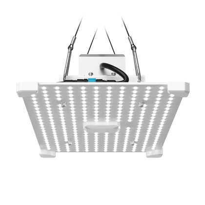 LUMii Black Blade 100W LED – lampă LED pentru creștere