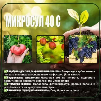 Microsul 1l - biostimulant with curative action