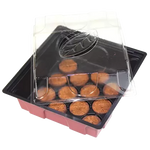 Mini-seră Windhager cu 12 discuri de cocos incluse, 19.5x19 cm