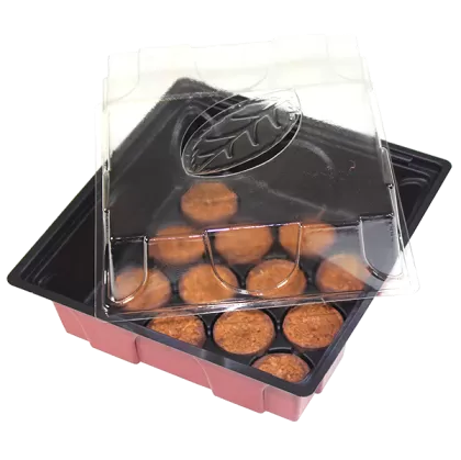 Mini-seră Windhager cu 12 discuri de cocos incluse, 19.5x19 cm