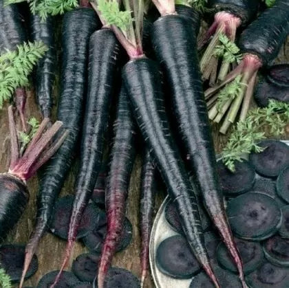Morcovi Deep Purple F1 (Deep Purple F1) - 500 buc. semințe