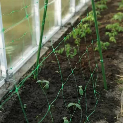 Bradas PLANT NET Climbing Plant Net 2 × 10 m