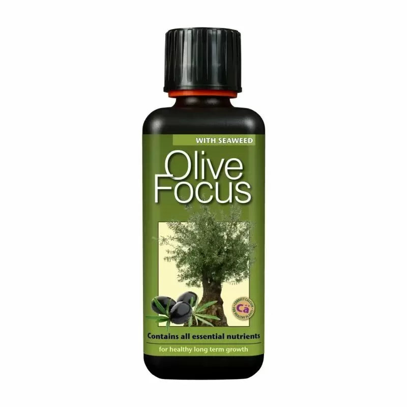 Olive Focus - îngrășământ pentru măslini