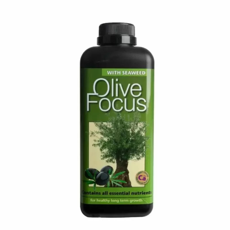 Olive Focus - îngrășământ pentru măslini