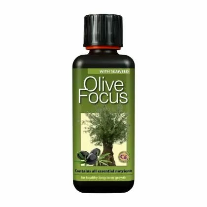Olive Focus - îngrășământ pentru măslini