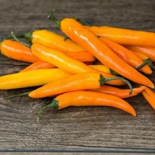 Ardei Orange Thai – 15 semințe