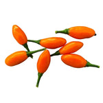 Pimenta La Macarena - 15 buc. semințe