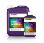 PLAGRON Green Sensation – booster de înflorire pentru recolte maxime