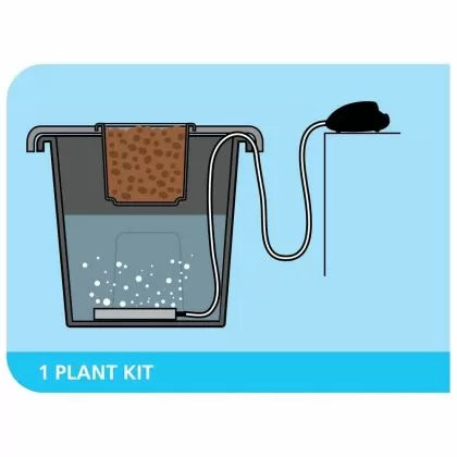 PLANTIT aeros IV master – sistem hidroponic DWC cu două pompe de aerare