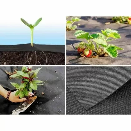 Acoperire (agrotextil) împotriva buruienilor din material nețesut 50 g/m² negru – 1.1 m x 100 m