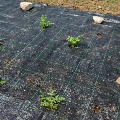 Acoperire (agrotextil) împotriva buruienilor din material nețesut 50 g/m² negru – 1.1 m x 100 m