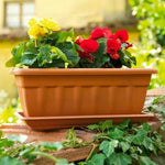 Ghiveci Cassiopea 60 × 20 × 16 cm, antracit – 12,5 l