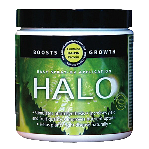 HALO 100 g