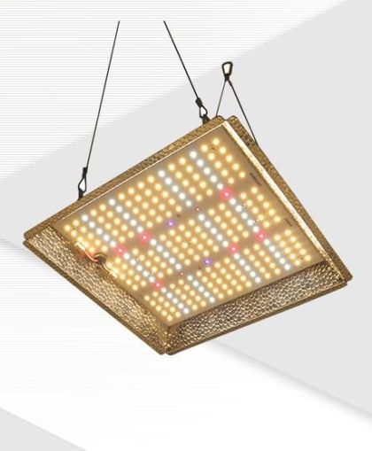 Red Farm Quantum G3 100W LED (LM281B)