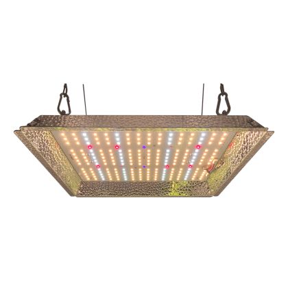 Red Farm Quantum G3 100W LED (LM301B)