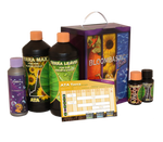 ATA Terra Bloombastic Box