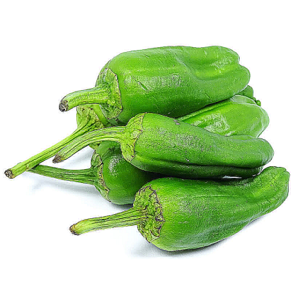 Padron (Padron) - 25 buc. semințe