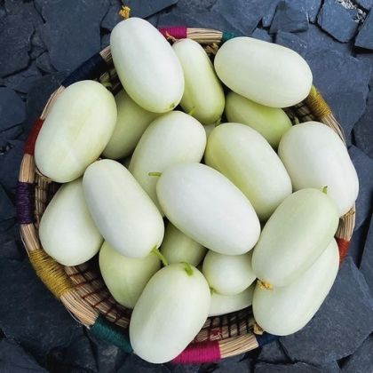 Semințe de castraveți soiul "Dragon's Egg" (Dragon's Egg) 25 buc.