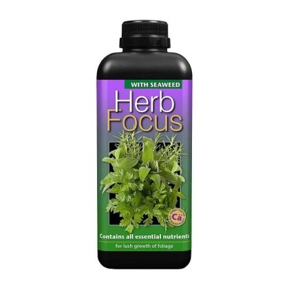 Herb Focus 1 l – fertilizant echilibrat pentru plante aromatice și medicinale