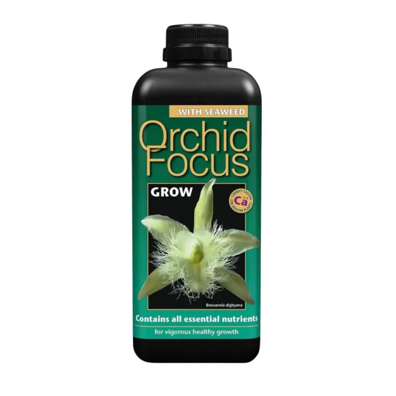 Orchid Focus GROW - fertilizant pentru creșterea orhideelor