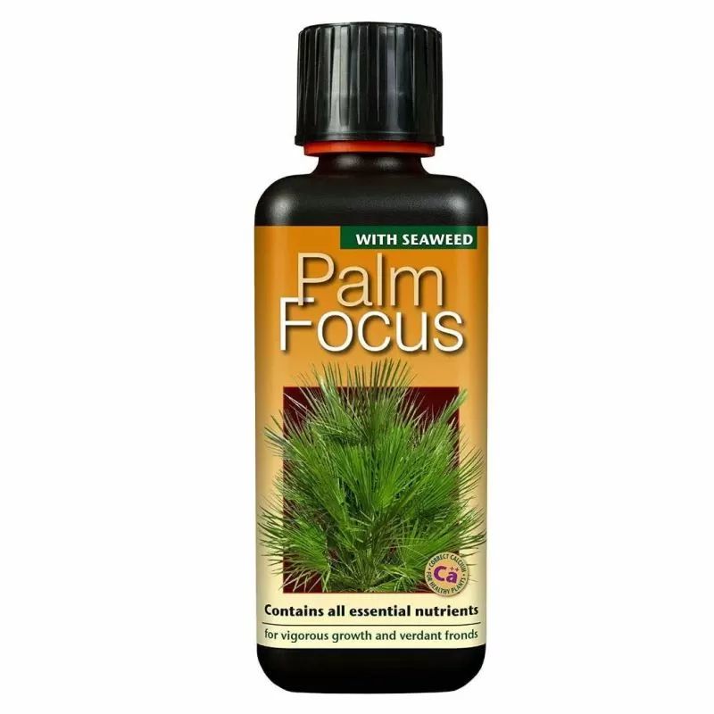 Palm Focus – îngrășământ pentru palmieri