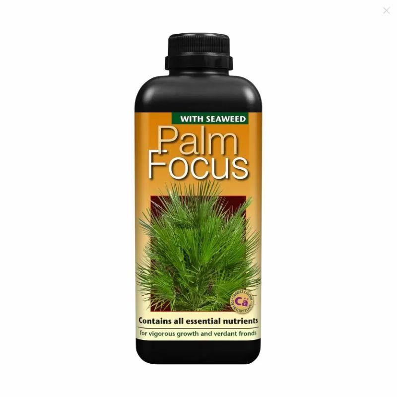 Palm Focus – îngrășământ pentru palmieri