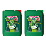 Dutchpro Soil Bloom A+B - îngrășământ pentru înflorire, pentru sol