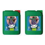 Dutchpro Hydro/Cocos Grow A+B - îngrășământ pentru creștere, pentru hidro / cocos
