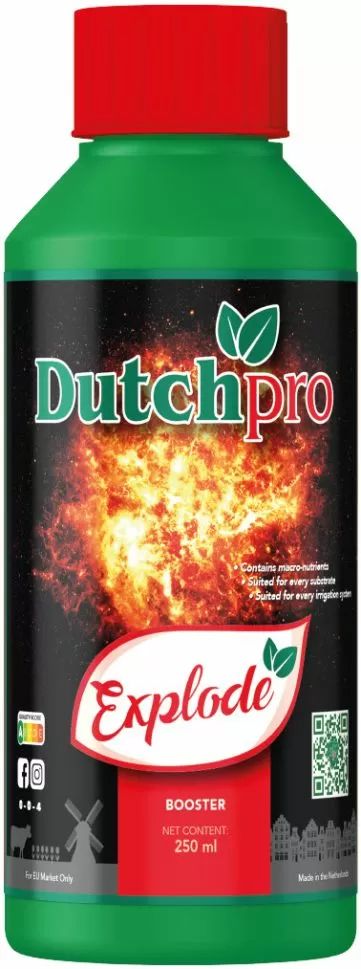 Dutchpro Explode - booster de înflorire (pentru randamente maxime)